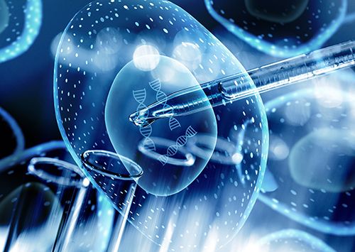 Customized Fluorescence Labe